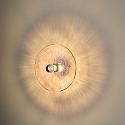 NOLD-A1226-1515x1518px-rosaencendida-768x770-1748433763.jpg