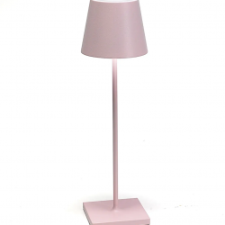 poldina-roze-pastel-1614850901.PNG