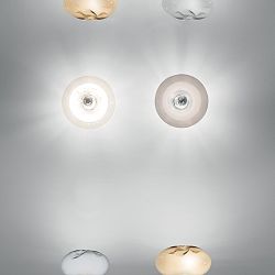 rosee-1753698878.jpg
